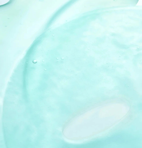 ANUA PDRN Hyaluronic Acid Capsule 100 Serum Mask | NIASHA.ch