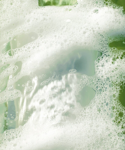 Heartleaf Quercetinol Pore Deep Cleansing Foam