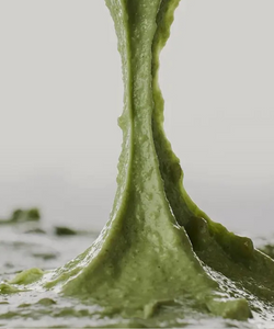 Fresh Green Cleanser