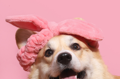 Cruelty-Free Beauty