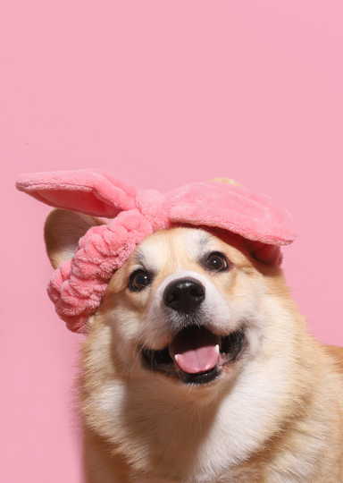 Cruelty-Free Beauty