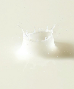 Rice Toner
