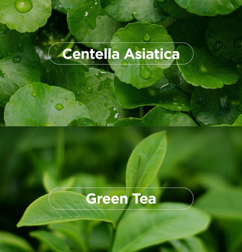 NEOGEN Bio-Peel Gauze Peeling Green Tea | NIASHA Switzerland