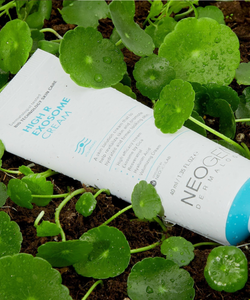 High R Exosome Cream