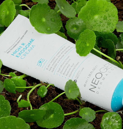 NEOGEN DERMALOGY High R Exosome Cream | NIASHA Switzerland