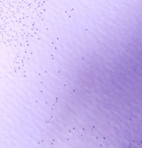 NEOGEN DERMALOGY Real Firming Bakuchiol Serum | NIASHA Switzerland